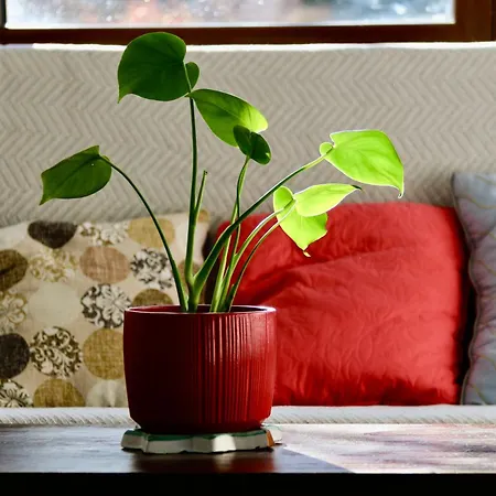 別荘 Hitohouse Bed&climb