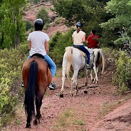 Hitohouse Bed&climb *