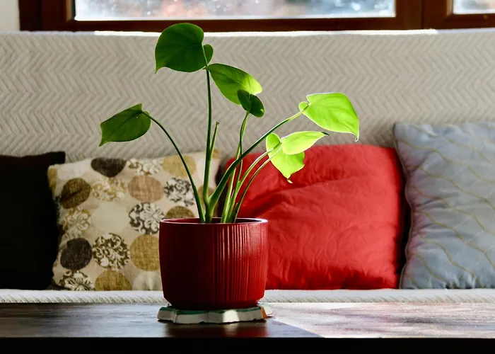 Casa vacanze Hitohouse Bed&climb